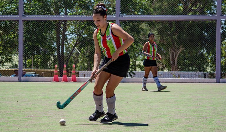 Dynamic Pricing & Stock Forecasting for Seasonal Demand